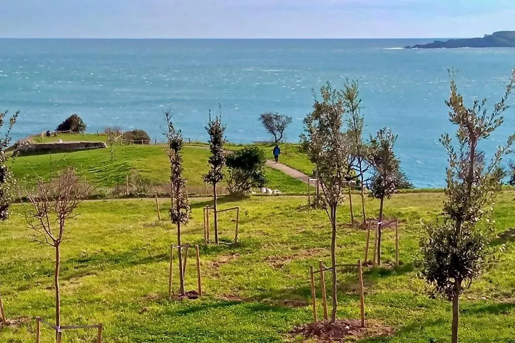 Andra Mari II Piso Totalmente Reformado Lägenhet Bermeo 0*,  Spanien